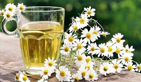 Tea as chamomile in prostatitis